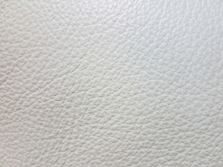 background of a skin dyed white