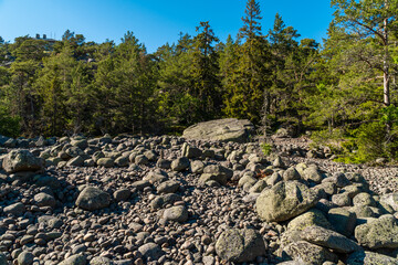 Russia. June 7, 2022. A stone river of boulders on the island of Gogland in the Gulf of Finland.