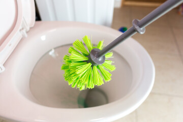 Cleaning the toilet, using a green toilet brush, cleaning.