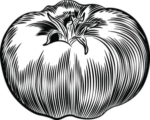 Tomato food, line art, hand drawn illustration isolated on white background. Concept for logo, print, cards, menu