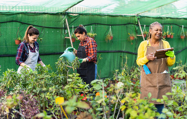 Multiracial gardeners working together in plants and flowers garden retail shop