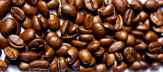 coffee beans close up