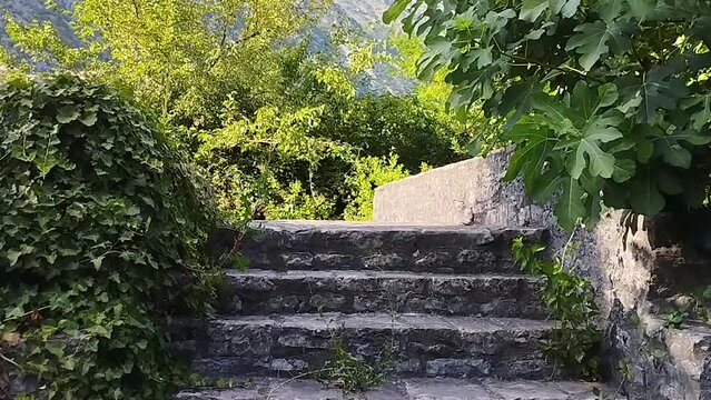 Steps of an old stone bridge in the mountains on a summer day