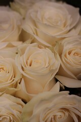wedding bouquet of roses