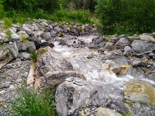 stream in the forest