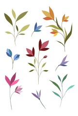 Set of bright illustrations of wildflowers