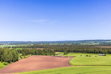 Fields and woodland in a beautiful  landscape view