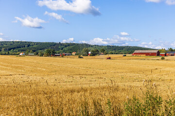 Fototapeta na wymiar Countryside view with fields and farms in the summer