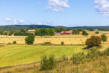 Fototapeta na wymiar Countryside view with farms and fields