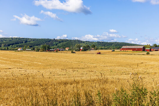 Countryside view with fields and farms in the summer