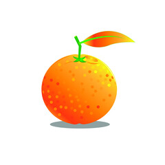 fresh citrus fruit on a white background