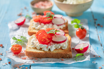 Homemade toasts with cottage cheese, radish and cherry tomatoes.