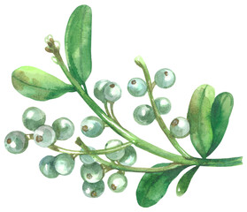 Hand-drawn mistletoe