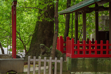朱色と緑の調和が美しい氷川神社の風景