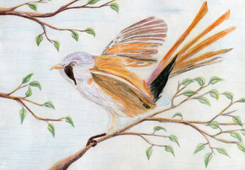 A small bird on the branches of a tree. 
Color pencil illustration.