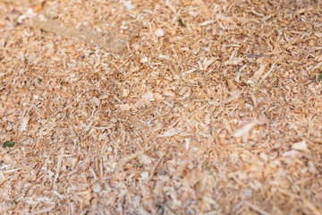 texture of sawdust