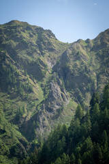 Naklejka premium eagle's nest