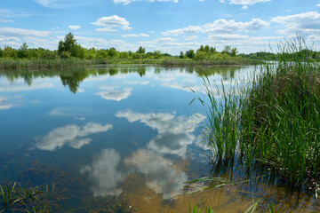 Peaceful summer landscape with clouds on the blue sky and reflection in the pond near Kyiv city in Ukraine.