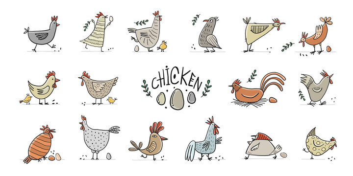 Funny Chicken and Rooster characters. Icons collection isolated on white for your design