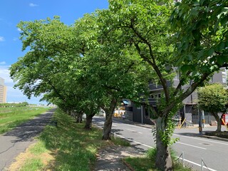 水戸市の桜川流域