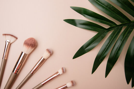 makeup brushes, cosmetic accessories, powder application, facial tool