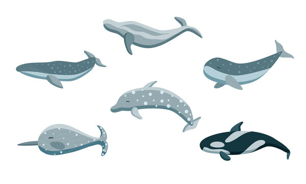 Dolphin and Whales set on white background