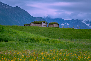 cottages in flowers on mountains