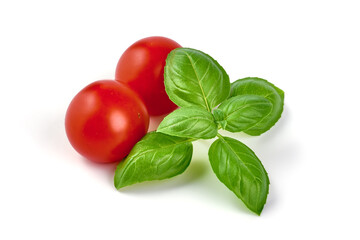 Sweet basil herb leaves, close-up, isolated on white background. Sweet Genovese basil.