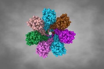 Space-filling molecular model of human pannexin 1 on grey background. Rendering with differently colored protein chains based on protein data bank entry 6v6d. 3d illustration