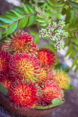 Rambutan Fruit | Scientific name: Nephelium lappaceum | Family: Sapindaceae | Order: Sapindales | Kingdom: Plantae