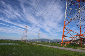 power lines in japan
