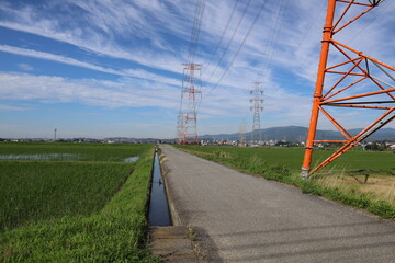 lines on the field in japan