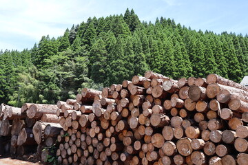 stack of wood