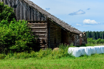 .beautiful white hay rolls against an old barn wall green grass on a sunny day © Aivis