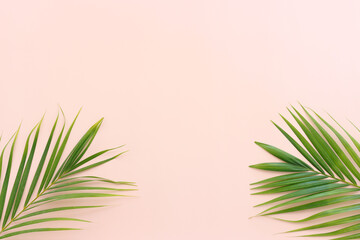 Image of tropical green palm over pink pastel background