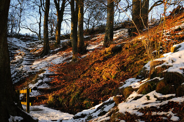 A cold wintry scene bathed in warm lighting, at Killoch Glen, Neilston, Renfrewshire, Scotland