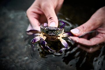 hike. Camp. Breakfast.Crab