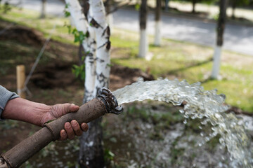 A park worker is watering the trees with a hose. High quality photo