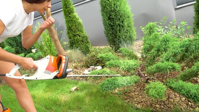 Young beautiful girl cuts juniper in the garden. A woman with a brush cutter makes pruning of juniper and arborvitae in the garden. The concept of garden design and technology.
