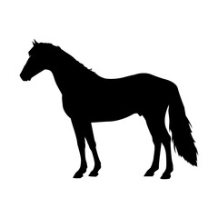 Horse Silhouette Vector