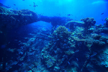Naklejka na ściany i meble wreck diving thistelgorm, underwater adventure historical diving, treasure hunt