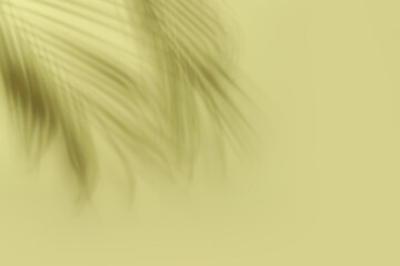 Shadow of tropical palm leaves on light color background
