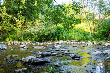 River in the summer forest. Summer view of the river. The river flows in the summer forest. Rocky river bank in the forest. River forest landscape. Ukraine, July 2022.