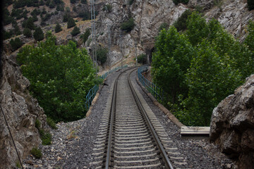 train track in nature and forest