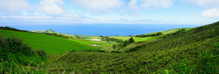 Fototapeta premium Green fields of Sao Miguel, Azores islands, Portugal
