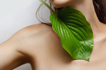 A green tropical leaf covers the woman's body, collarbone and neck of the female, cosmetology and dermatology, skin hydration, white background, day