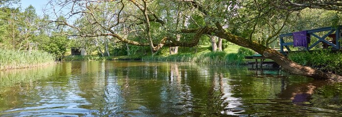 Fototapete bei efototapeten.de bestellen   