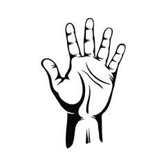 Hand showing five fingers, high five sign. Communication gestures concept. Counting fingers.  number five. hand open palm showing number five