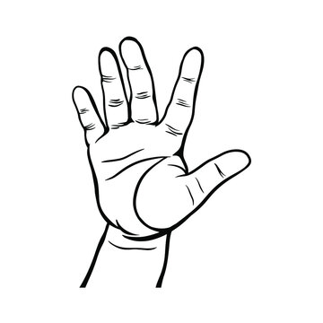 Hand showing five fingers, high five sign. Communication gestures concept. Counting fingers.  number five. hand open palm showing number five