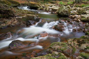 Fototapeta na wymiar der romantische Fluss Ilse bei Ilsenburg am Fuße des Brocken im Nationalpark Harz in Deutschland